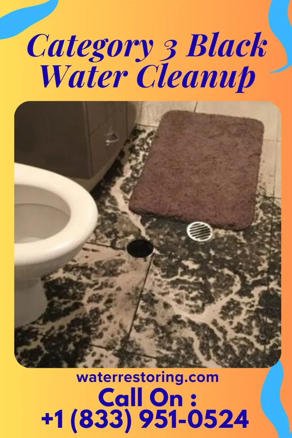 Category 3 Black Water Cleanup in Yorkana, PA