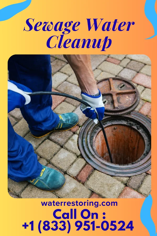 Sewage Water Cleanup in Yorkana, PA